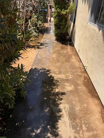 Complete Patio and Walkway Transformation
