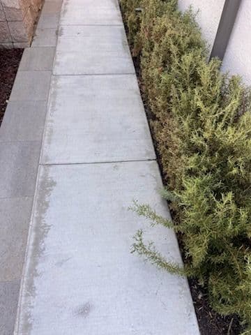 Revitalize Your Home Exterior with Expert Care
